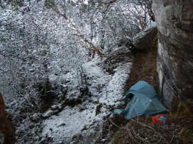 The morning after the night before - After getting caught out by a heavy snow storm walking through the dense trees this was the only place I could find flat enough to put my tent. Thankfully it was sheltered too.
